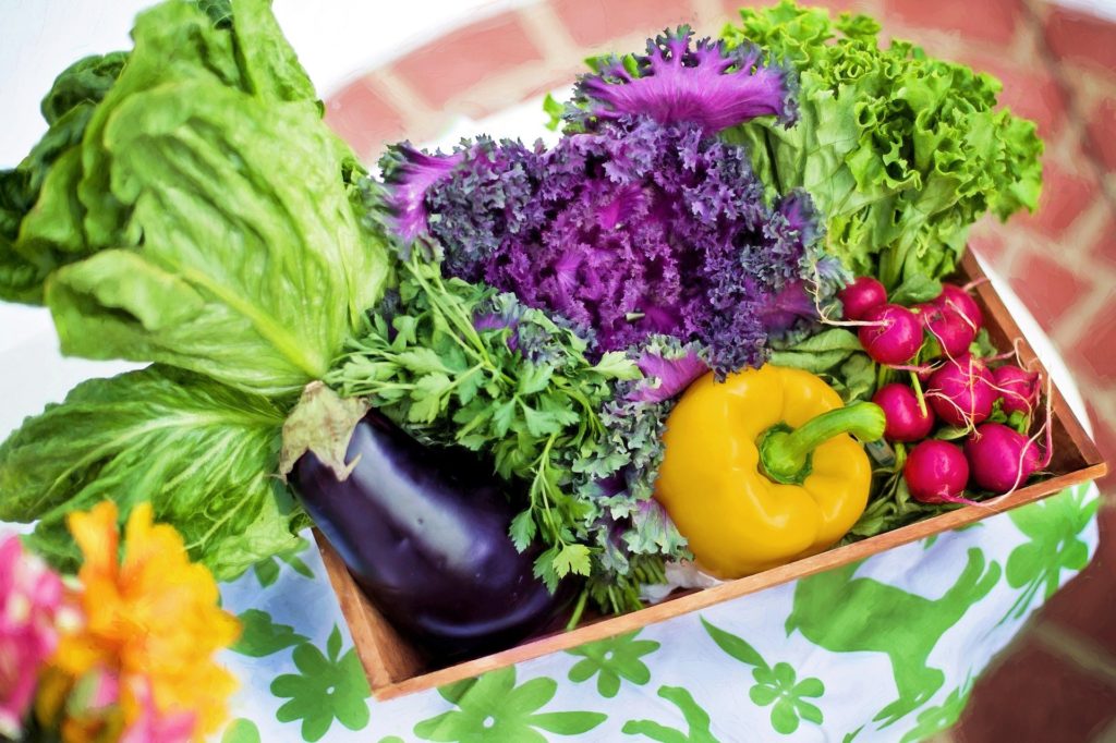 alimentos orgânicos