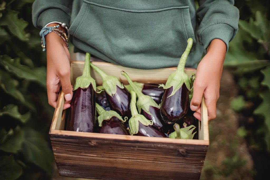 agrihood