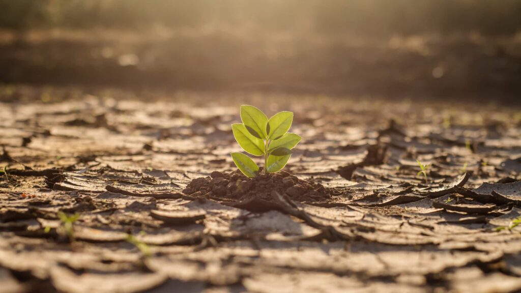 sustentabilidade