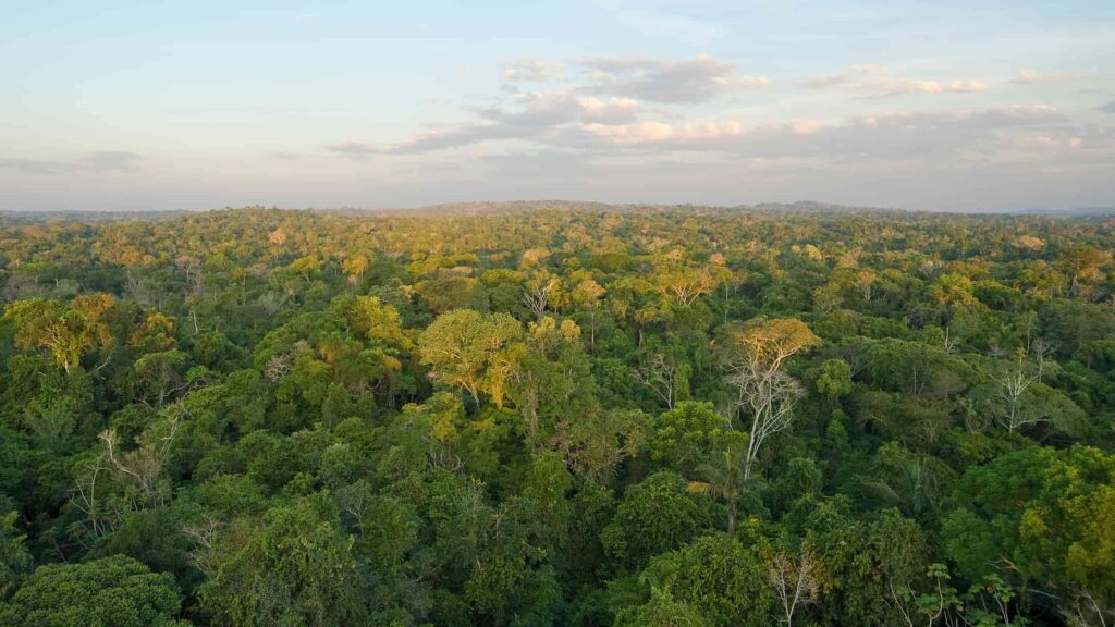 Amazonas