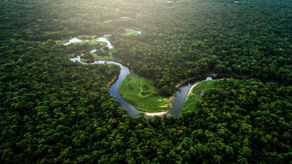 mata atlântica