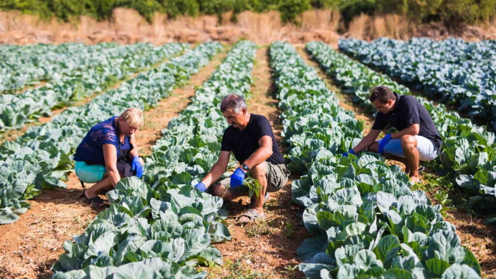 agroecologia
