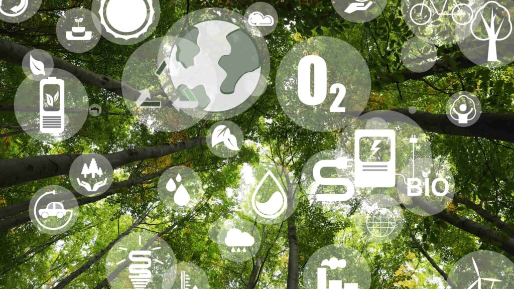 MBA Sustentabilidade Corporativa