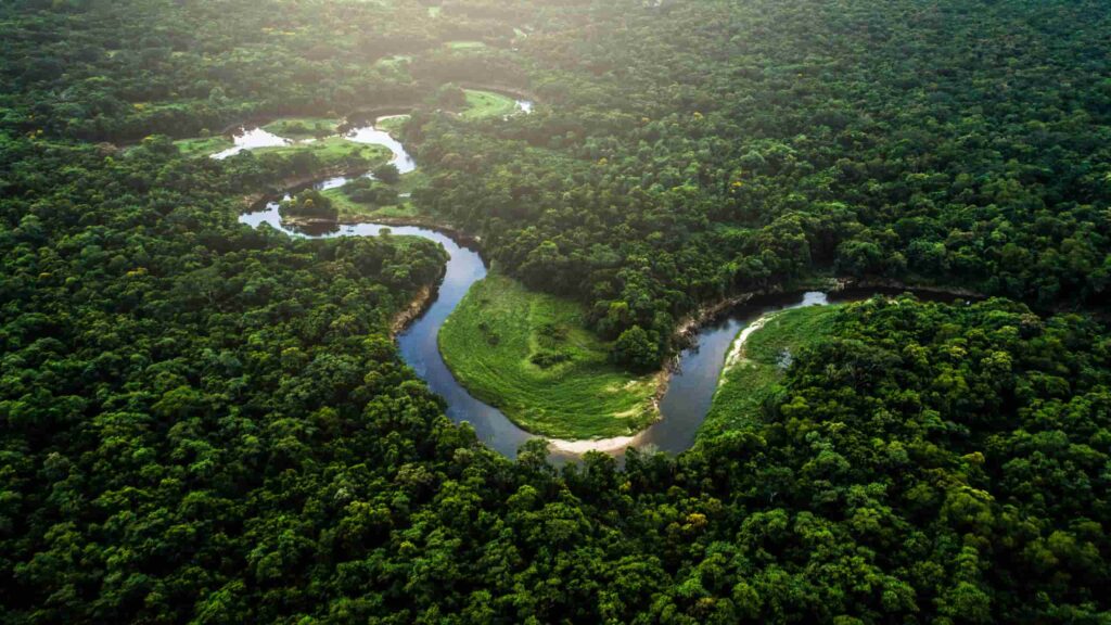 mata atlântica
