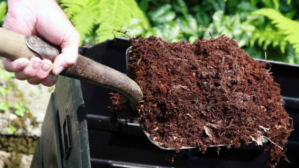 compostagem