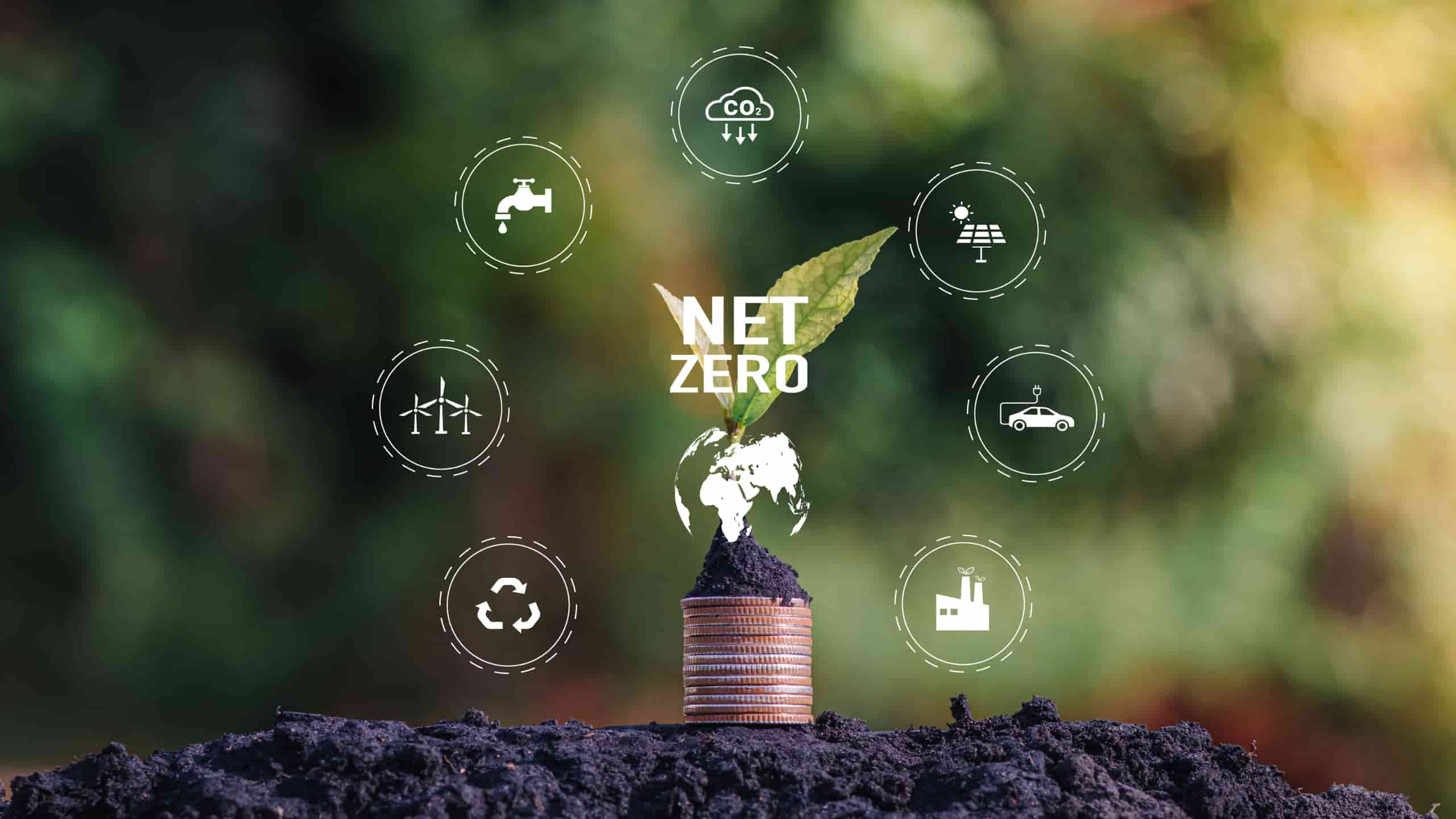 netzero
