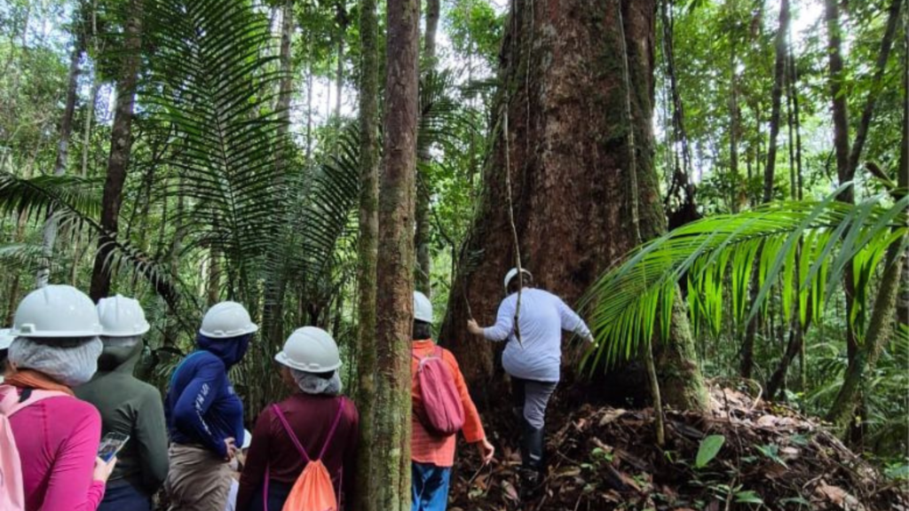 turismo regenerativo