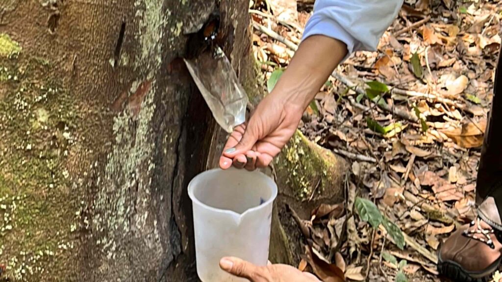 turismo regenerativo