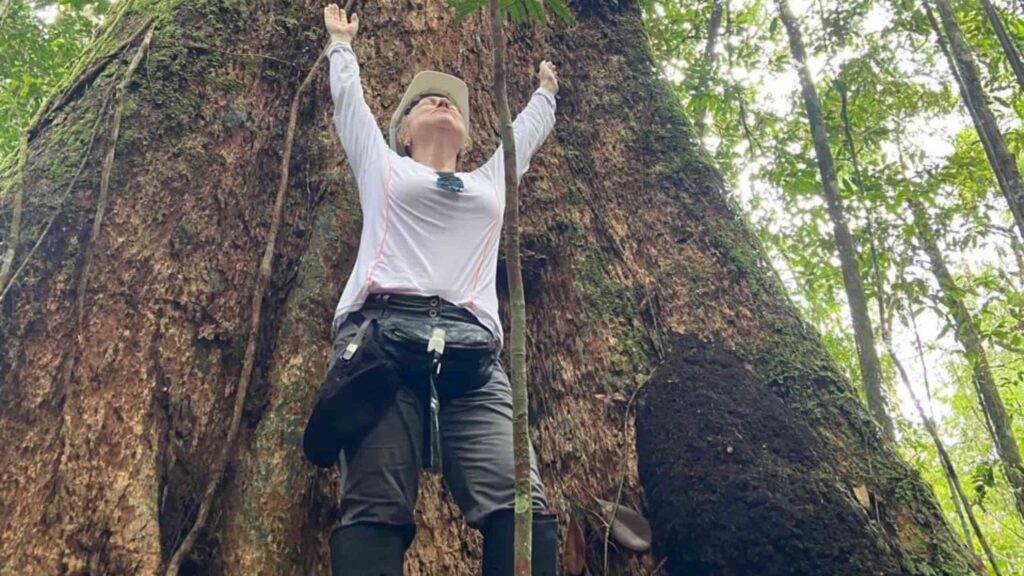 turismo regenerativo