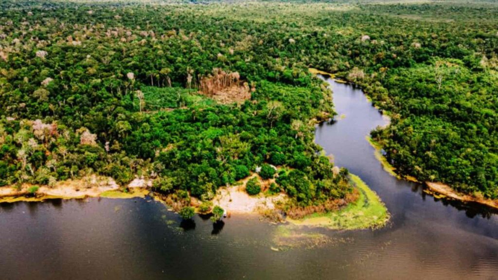 amazônia