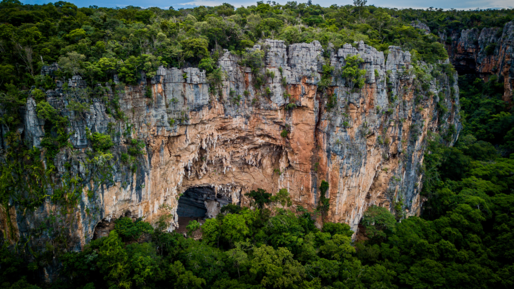 Minas