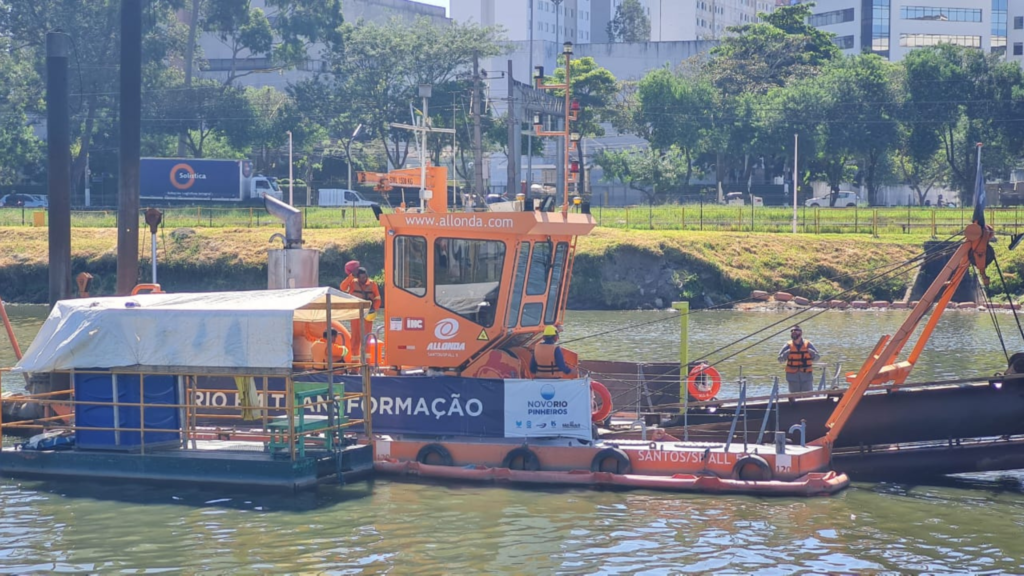 pinheiros