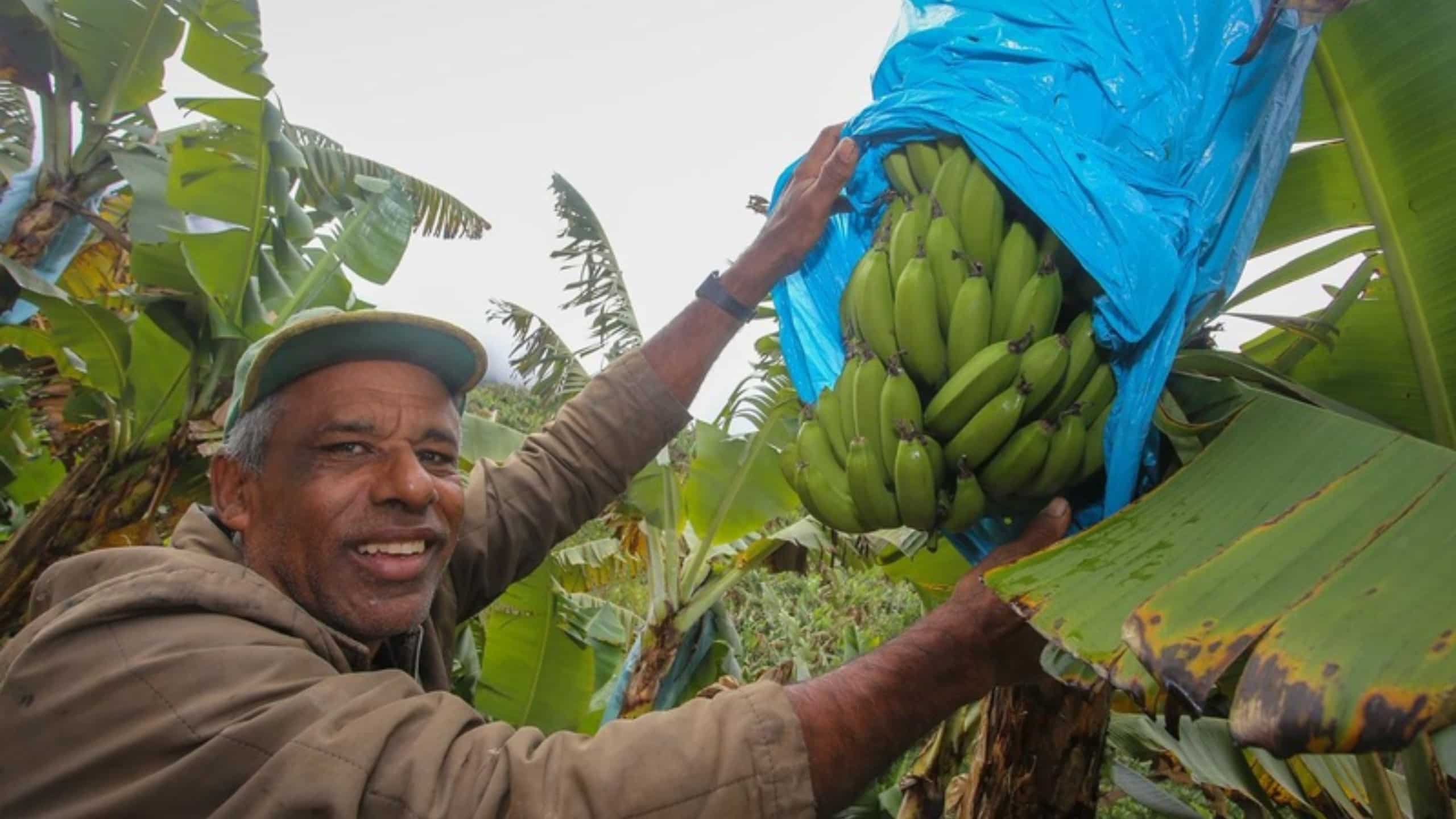 agricultura familiar