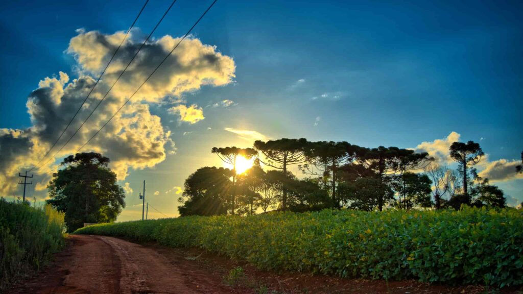 Paraná