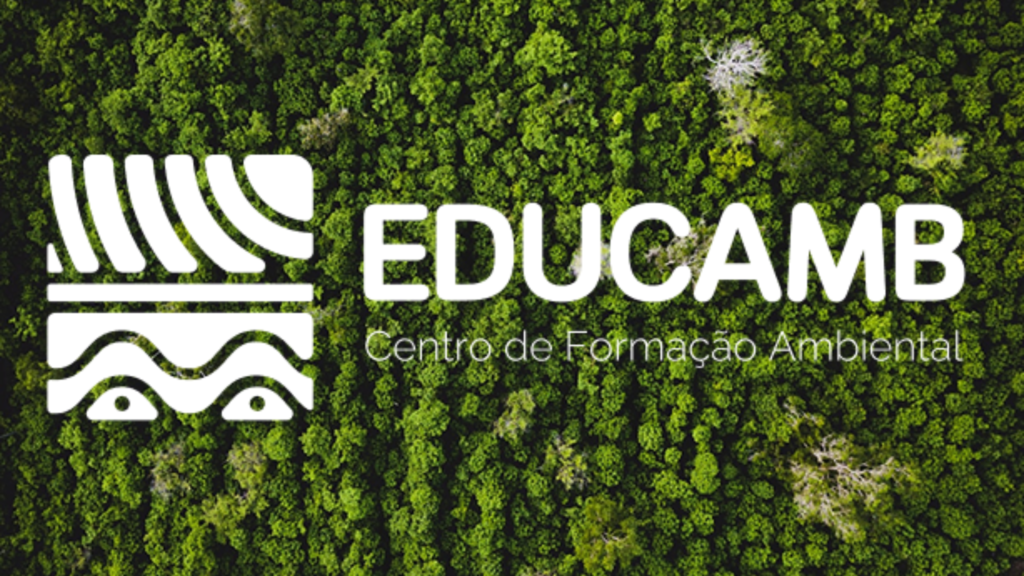 educação