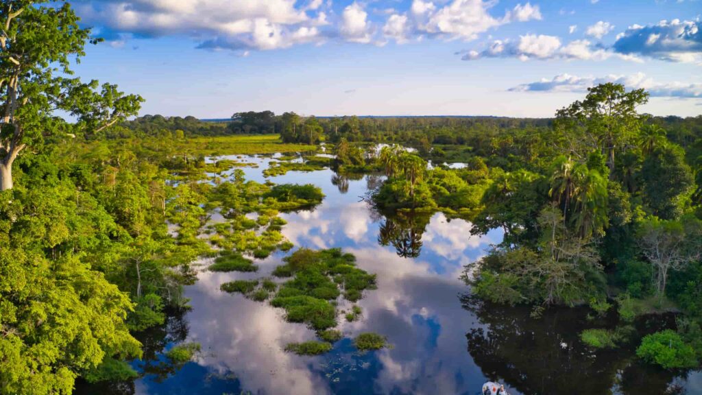 restauração