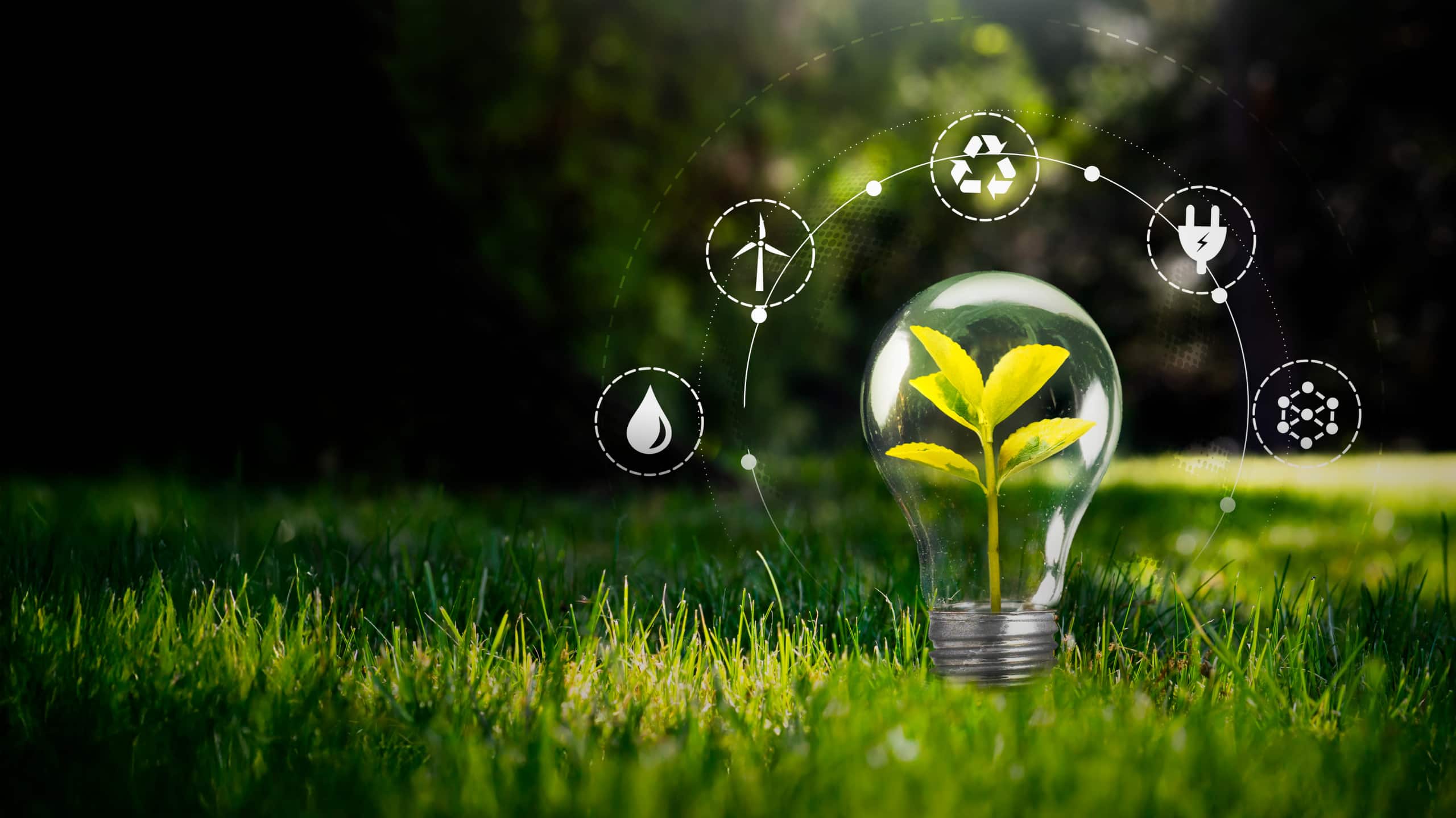 sustentabilidade corporativa