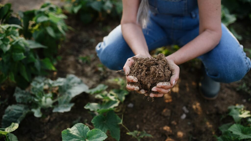 agricultura