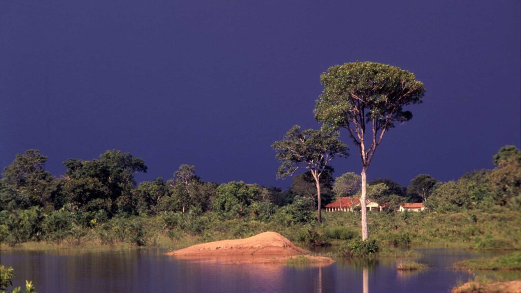 Goiás