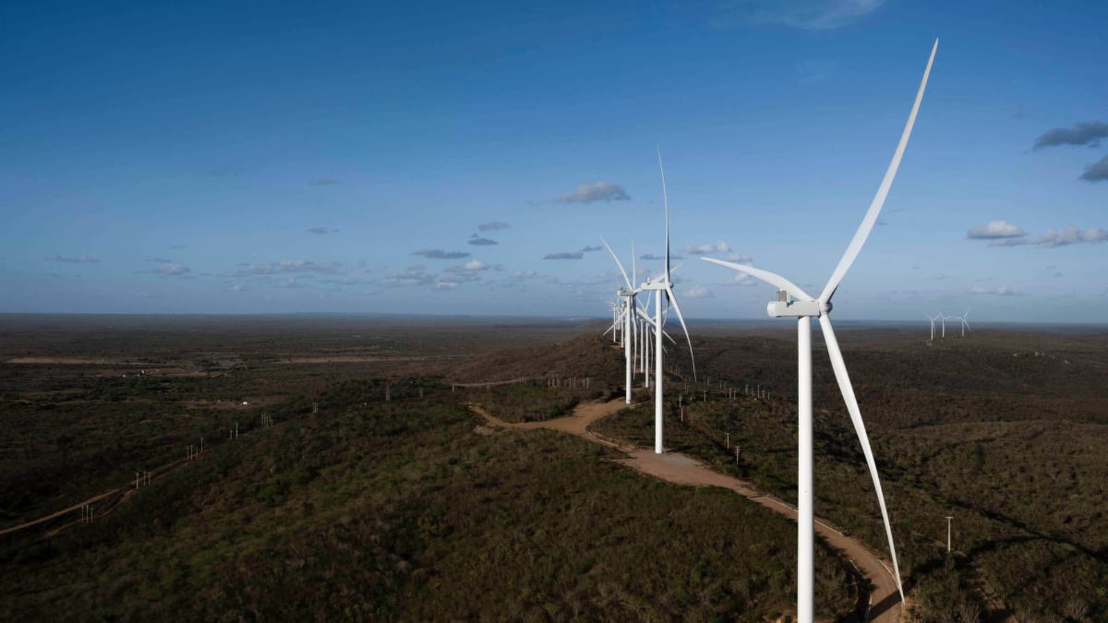 parque eólico
