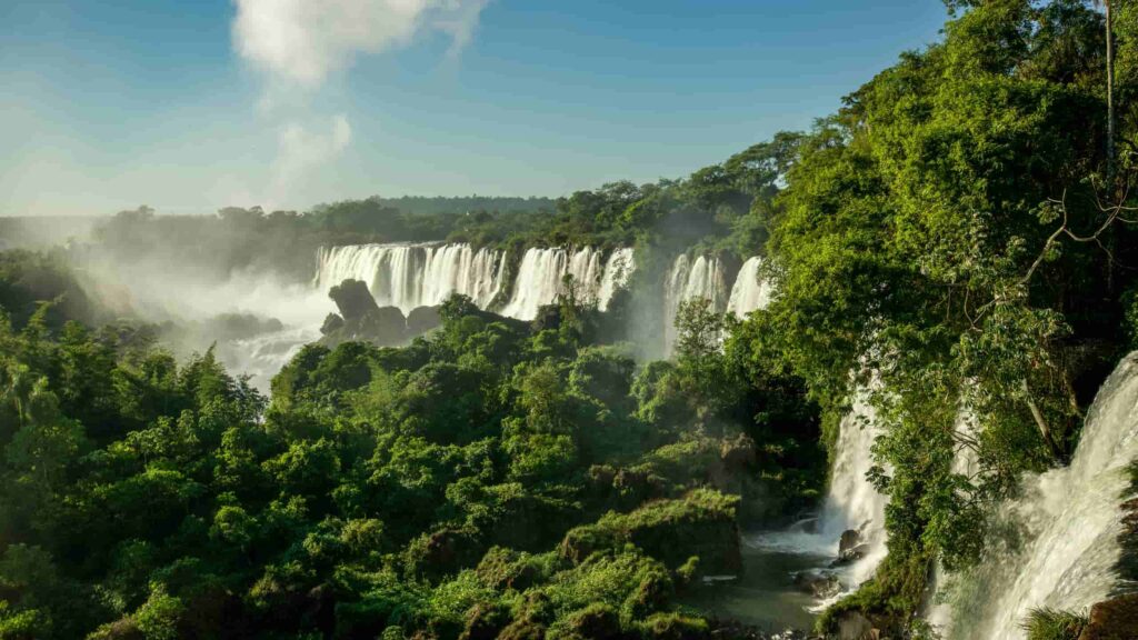 biodiversidade