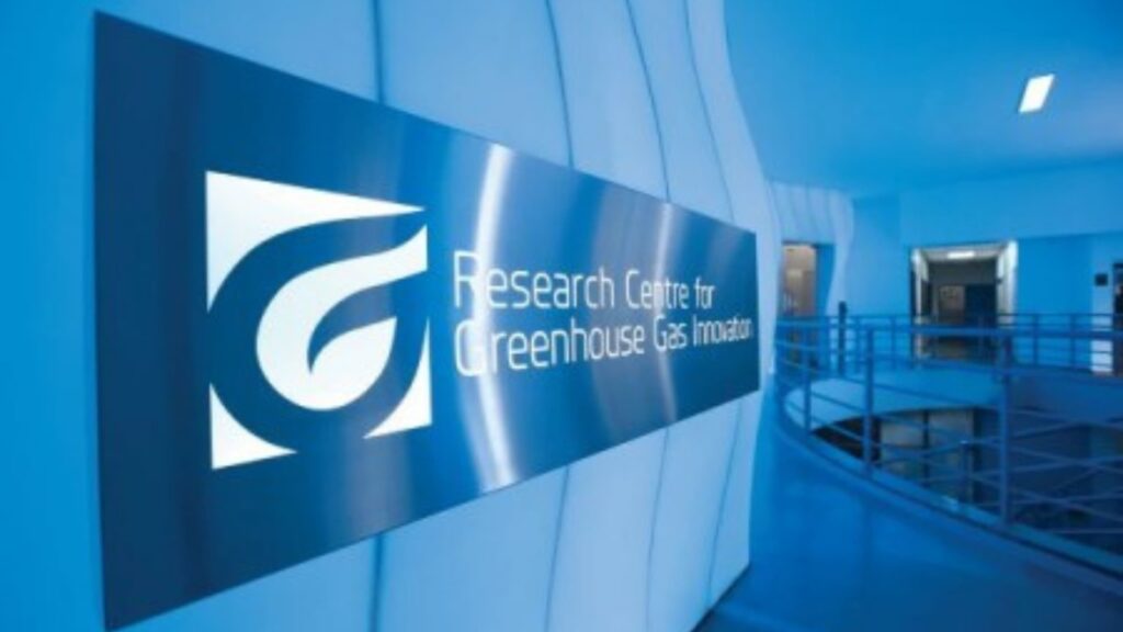 mercado