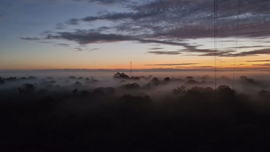Amazônia