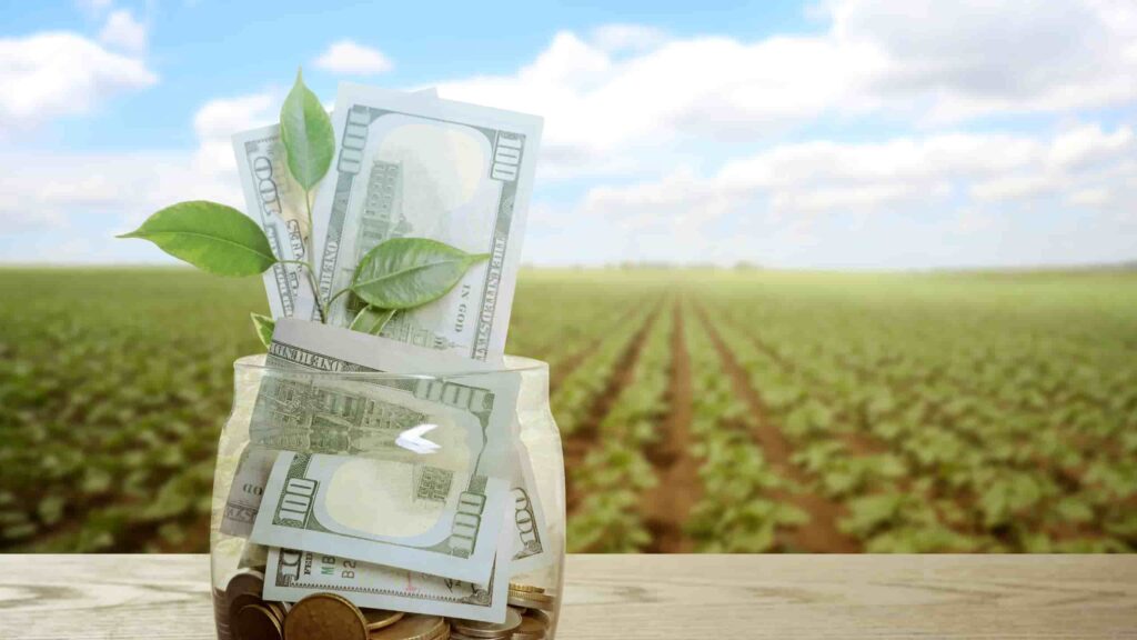 agricultura